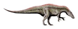 アクロカントサウルスの写真