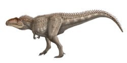 ギガノトサウルスの写真