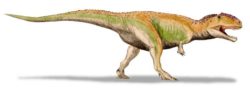 ギガノトサウルスの写真