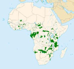 アフリカゾウの分布図