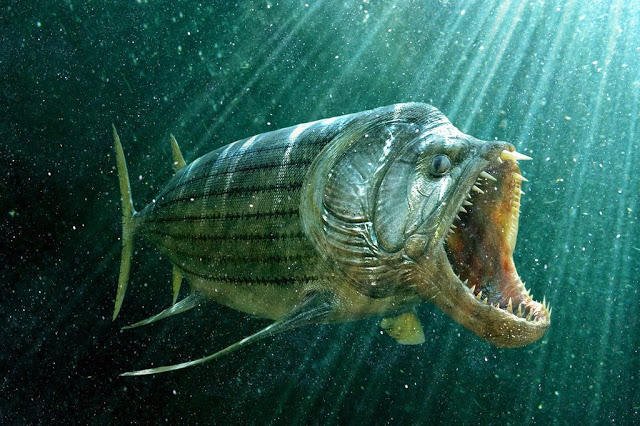 古代に生息した魚 古代魚 の最強ランキングtop１０ 世界の超危険生物データベース